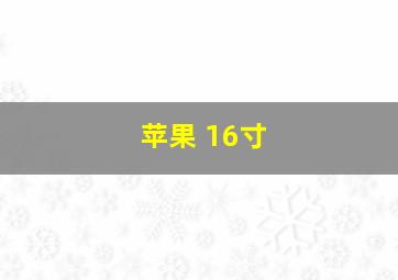 苹果 16寸